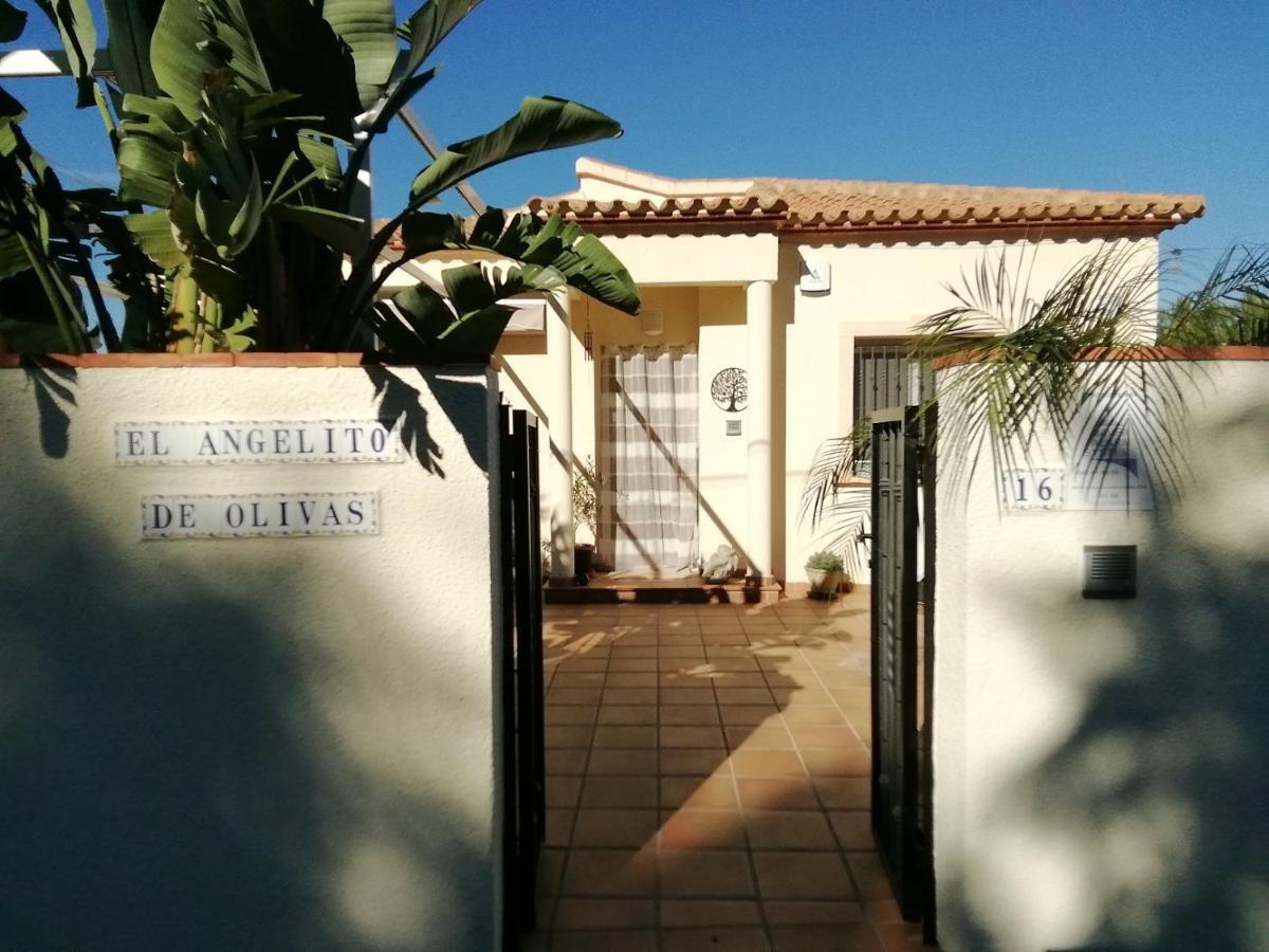 Guest House El Angelito De Olivas Pedreguer Exteriör bild